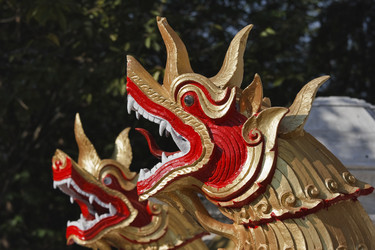 Similar image 1556098