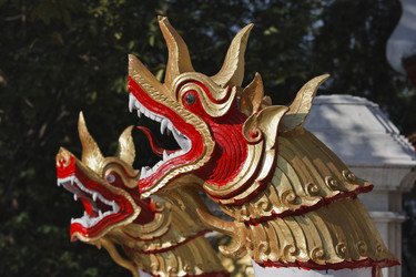 Similar image 1556105