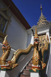 Similar image 1556113