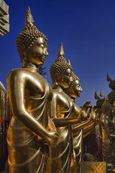 Similar image 1556115