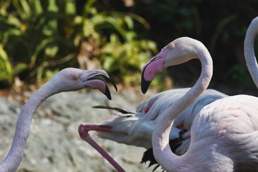 Similar image 1556117