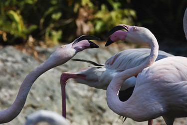 Similar image 1556118