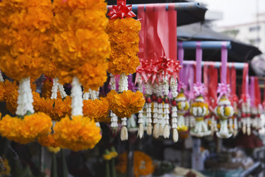 Similar image 1556120