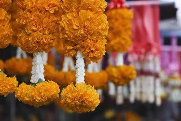 Similar image 1556121