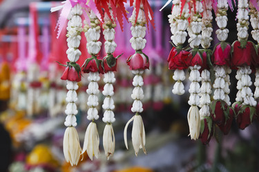 Similar image 1556123