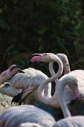 Similar image 1556125