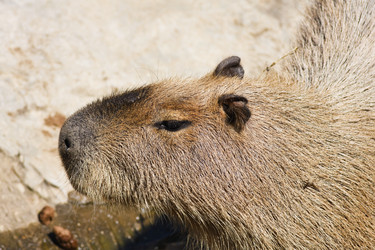 Similar image 1556128