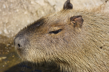 Similar image 1556130