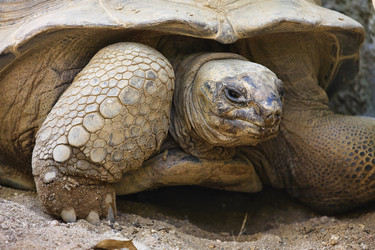 Similar image 1556131