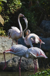 Similar image 1556132