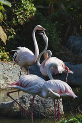 Similar image 1556133