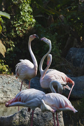 Similar image 1556134