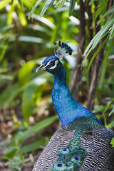 Similar image 1556144