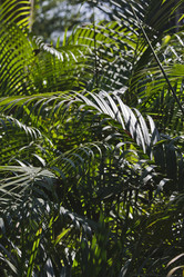 Similar image 1556146