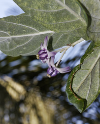 Similar image 1556156