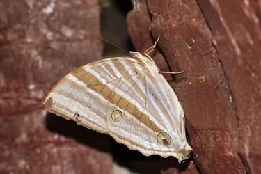 Similar image 1556164