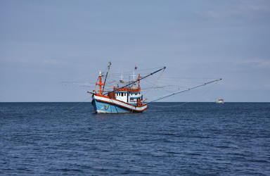 Similar image 1556216