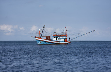 Similar image 1556228