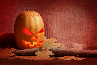 Similar image 1556236