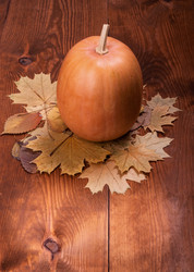 Similar image 1556238