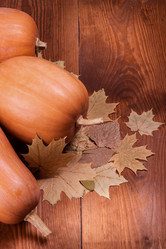 Similar image 1556240