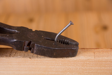 Similar image 1556258