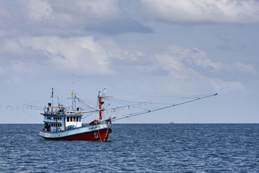 Similar image 1556271