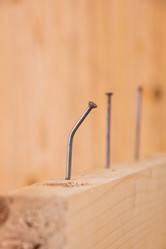 Similar image 1556274