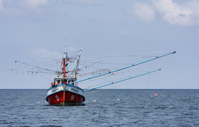 Similar image 1556294