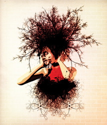 Similar image 1556306