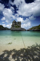 Similar image 1556332