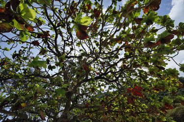 Similar image 1556336