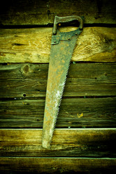 Similar image 1556398