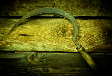 Similar image 1556401