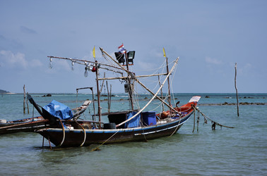 Similar image 1556416