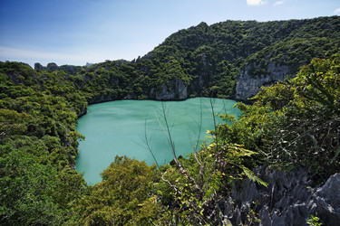 Similar image 1556428