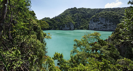 Similar image 1556430