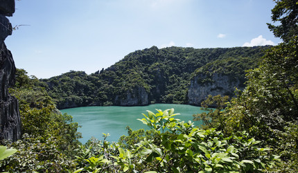 Similar image 1556443