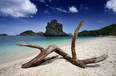 Similar image 1556449