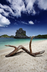 Similar image 1556450