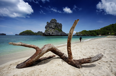 Similar image 1556452