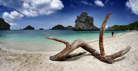 Similar image 1556453