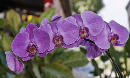 Similar image 1556462