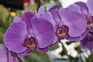 Similar image 1556463