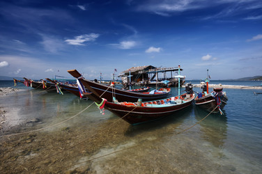 Similar image 1556464