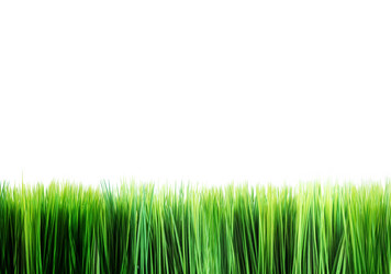 Similar image 1556480