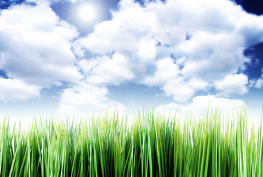 Similar image 1556484