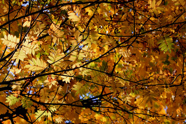 Similar image 1556492