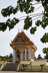 Similar image 1556494