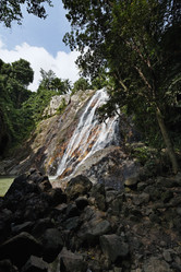 Similar image 1556503